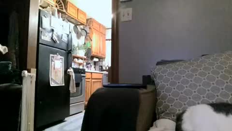 dickwack4u online show from 01/04/25, 04:01