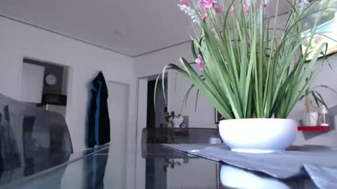 Snapshot of didiegal chatting on 12/07/24, 02:02 squirtcock online show from 12/07/24, 02:02