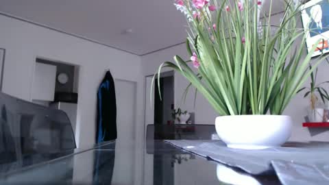 Snapshot of didiegal chatting on 12/09/24, 02:39 squirtcock online show from 12/09/24, 02:39