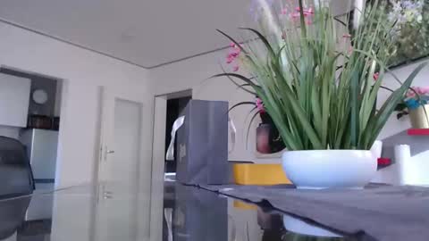 Snapshot of didiegal1 chatting on 01/11/26, 10:42 squirtcock online show from 01/11/26, 10:42