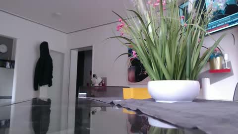 Snapshot of didiegal1 chatting on 02/02/26, 12:48 squirtcock online show from 02/02/26, 12:48