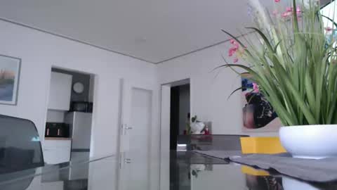 Snapshot of didiegal1 chatting on 02/11/26, 12:21 squirtcock online show from 02/11/26, 12:21