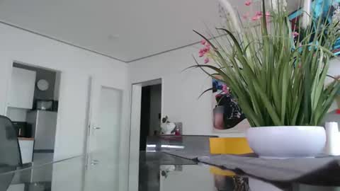 Snapshot of didiegal1 chatting on 02/16/26, 09:38 squirtcock online show from 02/16/26, 09:38