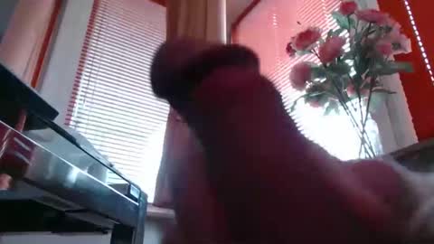 Snapshot of didiegal1 chatting on 02/24/26, 09:07 squirtcock online show from 02/24/26, 09:07