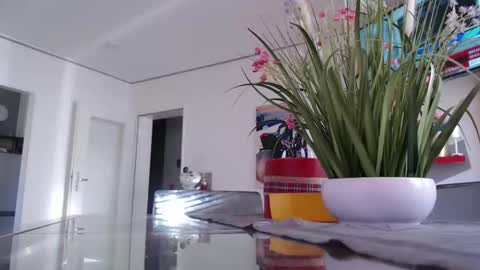 Snapshot of didiegal1 chatting on 03/02/26, 09:16 squirtcock online show from 03/02/26, 09:16