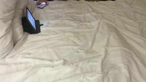 Dielitas online show from 04/06/26, 01:56