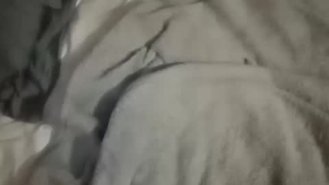 Daddy online show from 10/10/25, 04:44