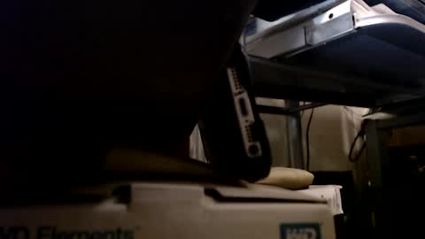 Snapshot of digbird1 chatting on 01/13/25, 01:13 dbNorth online show from 01/13/25, 01:13