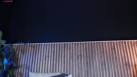 Snapshot of dilanjonnes chatting on 03/05/25, 02:46 DilanJonnes online show from 03/05/25, 02:46