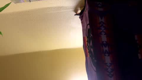 Snapshot of dimepiecebottom chatting on 12/08/24, 01:47 dimepiecebottom online show from 12/08/24, 01:47