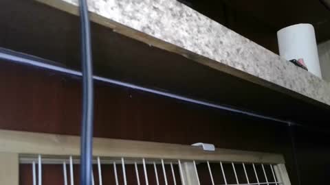 Sofie online show from 02/28/25, 05:48