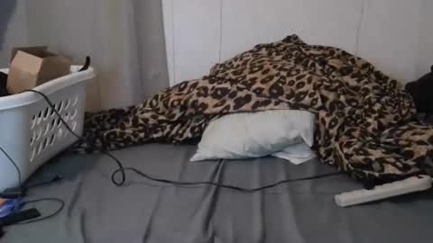 Sofie online show from 01/16/26, 06:28