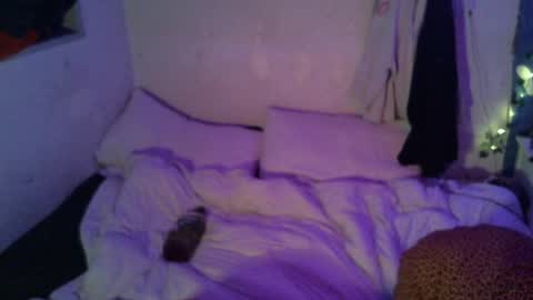 Snapshot of dipptripper chatting on 04/16/26, 10:05 Thomas OMalley online show from 04/16/26, 10:05