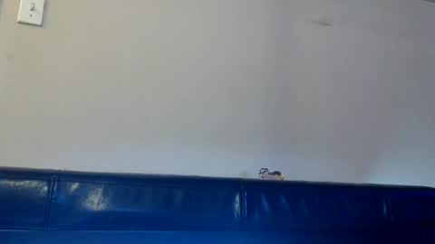 Daisy Wylde online show from 11/14/25, 01:32