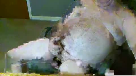 dirtydave52 online show from 03/28/26, 11:10