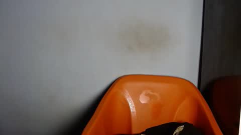 dirtydesirebabe online show from 04/02/26, 02:20