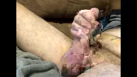 Snapshot of dirtykurty5000 chatting on 09/12/25, 11:43 Dirtykurty5000 online show from 09/12/25, 11:43