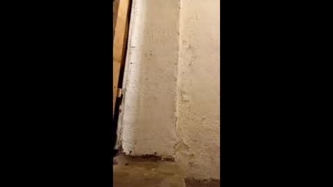 dirtytravbitch online show from 05/06/26, 02:19