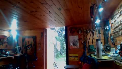 discretopasivo online show from 06/13/26, 05:00