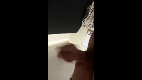 disidente1978 online show from 04/01/26, 02:34