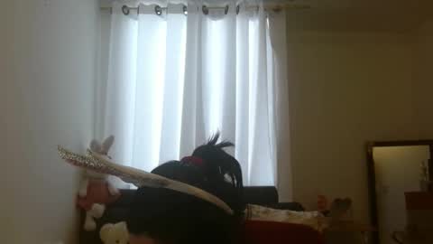 Snapshot of disneey2888 chatting on 11/12/25, 08:19 disneey2888 online show from 11/12/25, 08:19