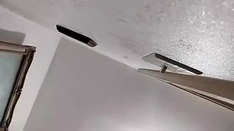 Snapshot of dixonbird41 chatting on 02/11/25, 02:46 dixonbird41 online show from 02/11/25, 02:46