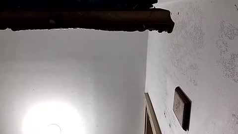 Snapshot of dixonbird41 chatting on 02/18/25, 03:54 dixonbird41 online show from 02/18/25, 03:54