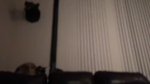 DJ Chaterbate online show from 02/04/26, 08:31