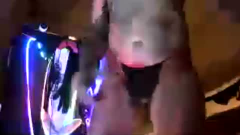 djceasar online show from 07/20/26, 02:48