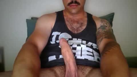 dk420mwa online show from 02/09/26, 06:50