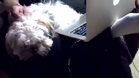 Snapshot of dkdad1966 chatting on 12/04/25, 03:43 DKdad online show from 12/04/25, 03:43