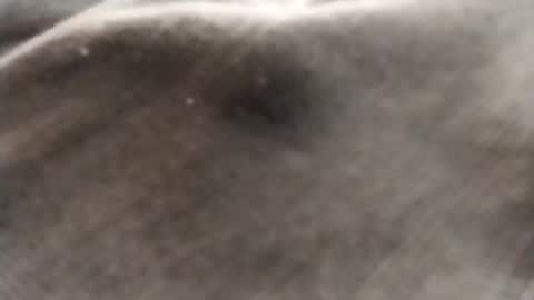 dlov3 online show from 02/08/26, 10:13