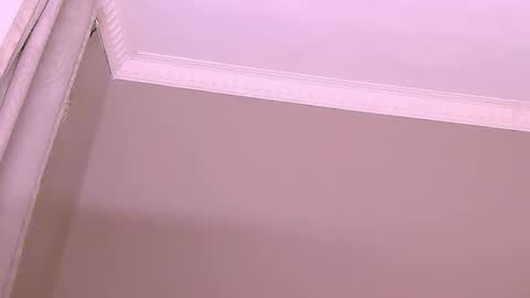 DMAN online show from 12/11/24, 06:31