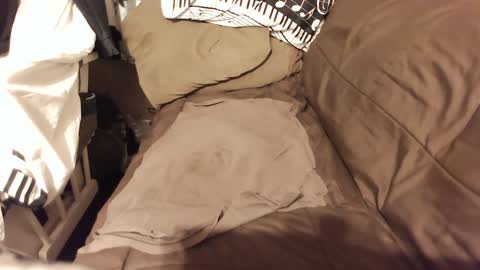 do4you2 online show from 01/18/25, 02:23