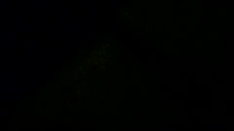 Doby online show from 12/16/25, 11:10