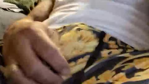 doingthisagain78177277 online show from 01/18/26, 10:41