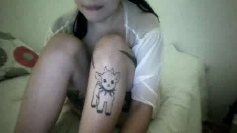 Snapshot of doll_dollys_ chatting on 07/17/26, 01:56 doll_dollys_ online show from 07/17/26, 01:56