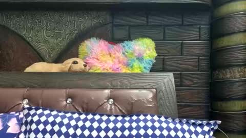 dollmeenu online show from 11/21/25, 06:45