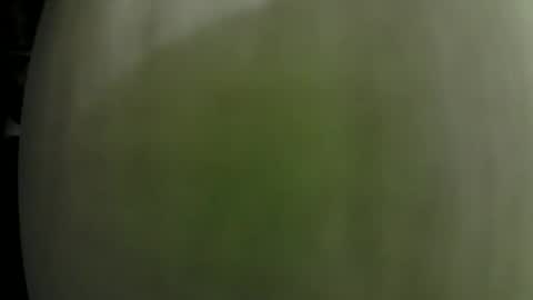 Snapshot of dom_doug chatting on 01/31/25, 01:33 Dom Doug B. online show from 01/31/25, 01:33