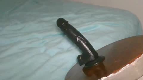 Alzest online show from 02/22/26, 09:46