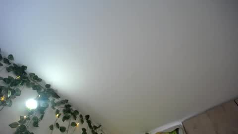 Snapshot of dominic_sofia chatting on 06/18/26, 12:09 dominic_sofia online show from 06/18/26, 12:09