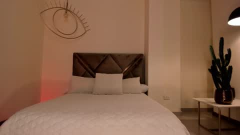 Dominique online show from 11/29/25, 11:41