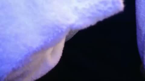 Snapshot of domse999 chatting on 02/17/25, 11:34 domse999 online show from 02/17/25, 11:34