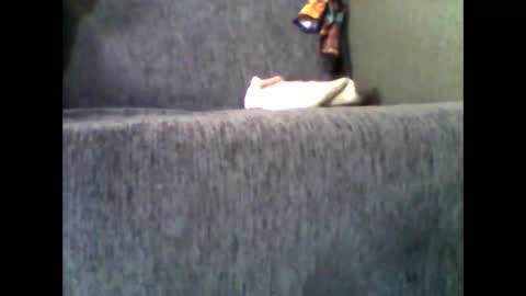 Alfredo online show from 11/10/25, 07:51