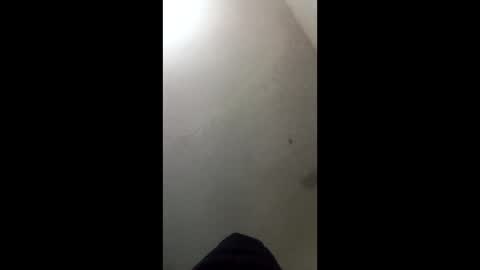 Snapshot of donkeykong34418301 chatting on 03/03/26, 06:08 donkeykong34418301 online show from 03/03/26, 06:08