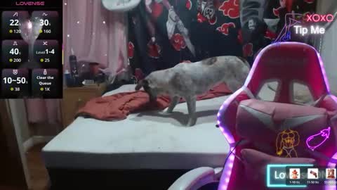 Angelic Angel Donny online show from 12/21/25, 12:07