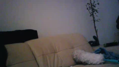 donosus online show from 01/18/26, 01:31