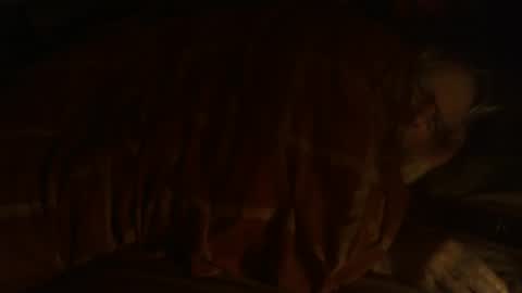 Hello  welcome to Slutsville  I am the Naked Chef  really  but you may call me Peter online show from 12/25/24, 09:33