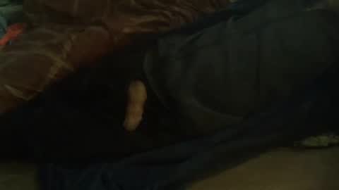 Hello  welcome to Slutsville  I am the Naked Chef  really  but you may call me Peter online show from 02/11/25, 10:04