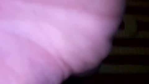 dougiebisme online show from 05/31/26, 01:29